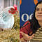 egg-is-made-of-menstrual-blood-of-chicken-maneka-gandhi